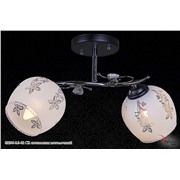  Reluce 02296-0.3-02 CR светильник потолочный