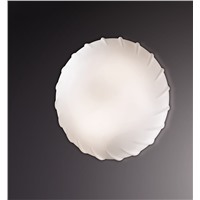 Светильник настенно-потолочный для ванных комнат Odeon Light 2247/2C Opal 2xE27 IP44