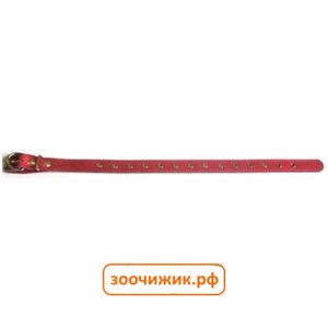 Ошейник Аркон красный 25мм универсальный (40-54см)