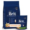 Сухой корм Brit Premium Сat adult Chicken для кошек цыплёнок (300 гр) (3834)