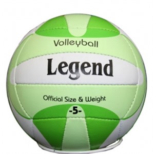 Волейбольный мяч Legend
