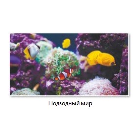 Экран (зашивка) под ванну 1,5 Кораловый риф