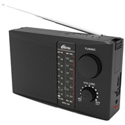 Радиоприемник Ritmix RPR-195 black