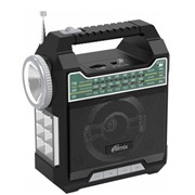 Радиоприемник Ritmix RPR-444