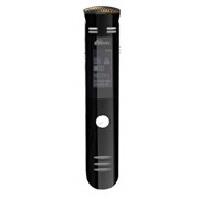 Диктофон Ritmix RR-190 (4Gb) Стерео, Li-Ion, MicroSDHC, MP3, FM, сегмент. дисп.