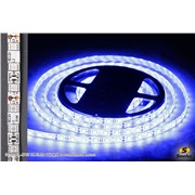  Sneha 5050-60L-IP65 BL SMD WZQH светодиодная лента
