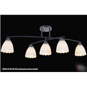  Reluce 62213-6.3-05 CR BK светильник потолочный