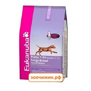 Сухой корм Eukanuba для щенков (крупных пород) 15 кг.