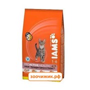 Сухой корм Iams лосось для кошек 3кг.