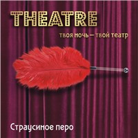 ToyFa Theatre Страусиное перо, красное
С рукояткой