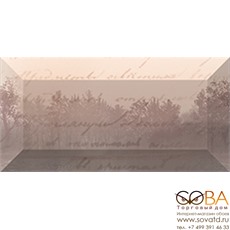 Бордюр Classics  рельефный br1020D199-1 20х10 купить по лучшей цене в интернет магазине стильных обоев Сова ТД. Доставка по Москве, МО и всей России