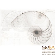 Декор Cersanit Панно Nautilus ракушка многоцветный 40х60 купить по лучшей цене в интернет магазине стильных обоев Сова ТД. Доставка по Москве, МО и всей России