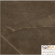 Керамогранит Armani Gold  коричневый 60x60 полированный купить по лучшей цене в интернет магазине стильных обоев Сова ТД. Доставка по Москве, МО и всей России