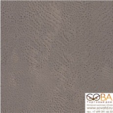 Обои Rasch 423631 African Queen купить по лучшей цене в интернет магазине стильных обоев Сова ТД. Доставка по Москве, МО и всей России