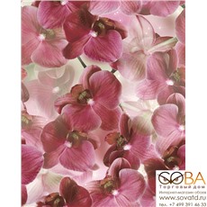 Панно Multi Rojo  (из 2-х плиток) 40х50 купить по лучшей цене в интернет магазине стильных обоев Сова ТД. Доставка по Москве, МО и всей России