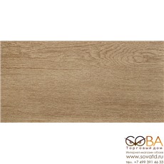 Керамогранит Alania natural  01 20х40 купить по лучшей цене в интернет магазине стильных обоев Сова ТД. Доставка по Москве, МО и всей России