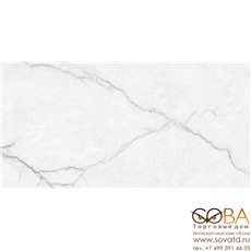 Керамогранит Torso Bianco  60х120 Полированный купить по лучшей цене в интернет магазине стильных обоев Сова ТД. Доставка по Москве, МО и всей России