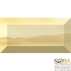 Бордюр Castle  рельефный br1020D194-1 20х10 купить по лучшей цене в интернет магазине стильных обоев Сова ТД. Доставка по Москве, МО и всей России