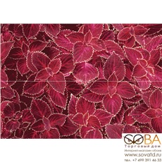 Панно Alegre Blood (из 2-х плиток) 50х70 купить по лучшей цене в интернет магазине стильных обоев Сова ТД. Доставка по Москве, МО и всей России