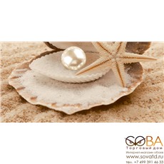 Декор Аликанте  10-00-11-122 25х50 купить по лучшей цене в интернет магазине стильных обоев Сова ТД. Доставка по Москве, МО и всей России