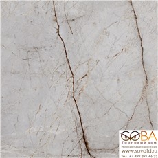 Керамогранит Silver Root  60х60 Полированный купить по лучшей цене в интернет магазине стильных обоев Сова ТД. Доставка по Москве, МО и всей России