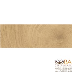 Керамогранит Time Ring  Коричневый K-6012/SLR/20x60 купить по лучшей цене в интернет магазине стильных обоев Сова ТД. Доставка по Москве, МО и всей России