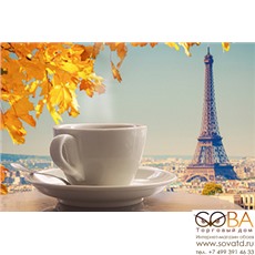 Декор D3 Travel cup D3D249  30х20 купить по лучшей цене в интернет магазине стильных обоев Сова ТД. Доставка по Москве, МО и всей России