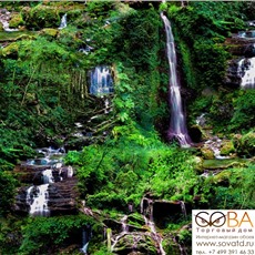 Обои Erismann 60101-02 Trend 3 купить по лучшей цене в интернет магазине стильных обоев Сова ТД. Доставка по Москве, МО и всей России