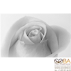 Декор Камелия  черный 01 25x40 купить по лучшей цене в интернет магазине стильных обоев Сова ТД. Доставка по Москве, МО и всей России