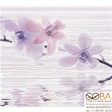 Панно Miracle  сиреневое (MC2F322D) 40x44 купить по лучшей цене в интернет магазине стильных обоев Сова ТД. Доставка по Москве, МО и всей России