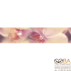 Бордюр Blossom  B200D183 4,5х20 купить по лучшей цене в интернет магазине стильных обоев Сова ТД. Доставка по Москве, МО и всей России