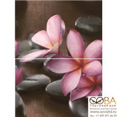 Панно Sauna  P2D174 30х40 (из 2-х пл.) купить по лучшей цене в интернет магазине стильных обоев Сова ТД. Доставка по Москве, МО и всей России